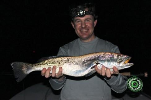 Night Fishing, Some Tarpon, and Bonito on Fly!