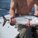 Bonito Fishing!